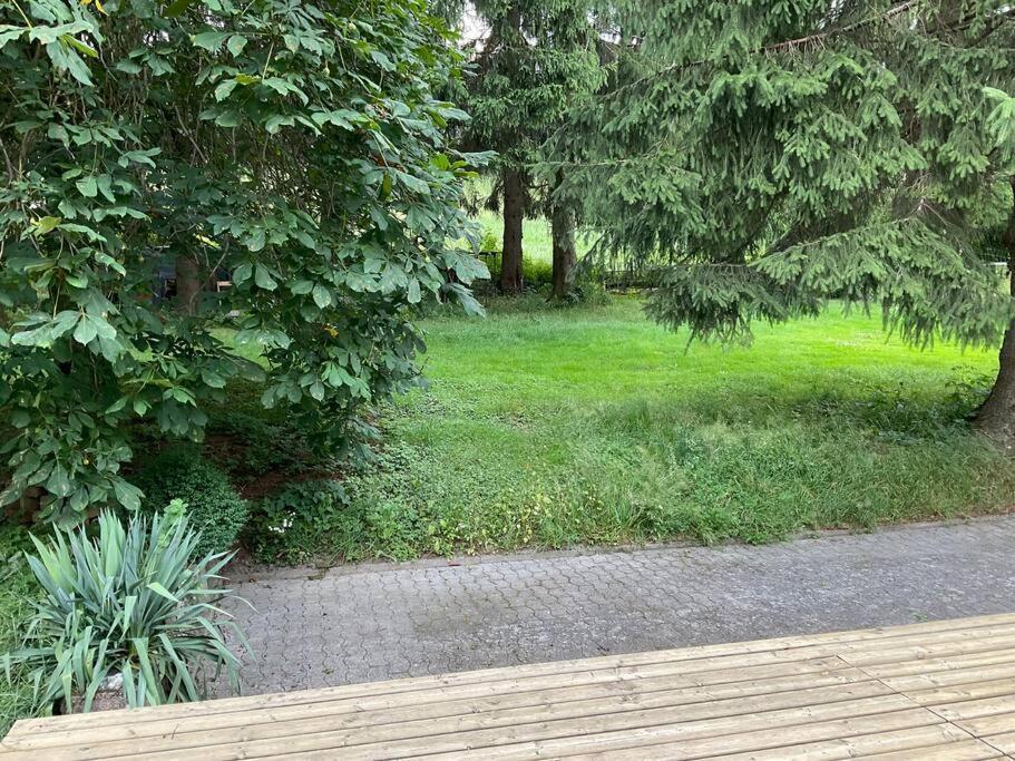 Wohnung In Idyllischem Oertchen Meschede Exteriér fotografie